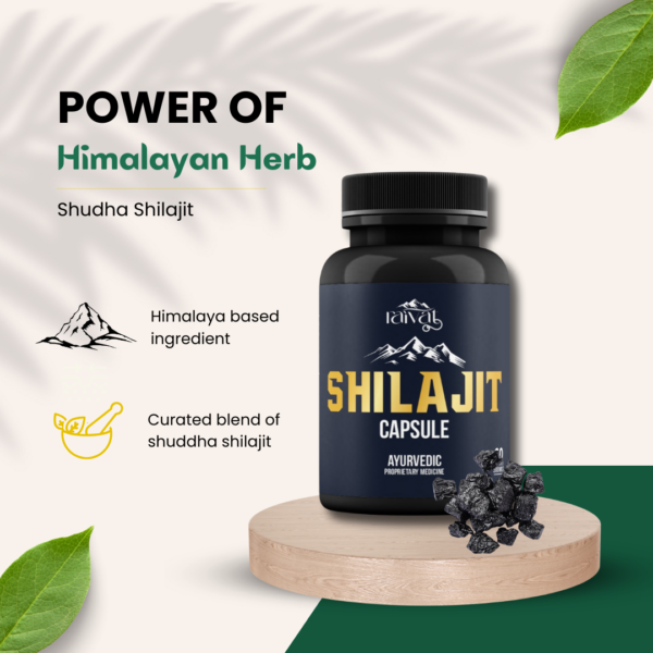 Shilajit Capsule - Image 3