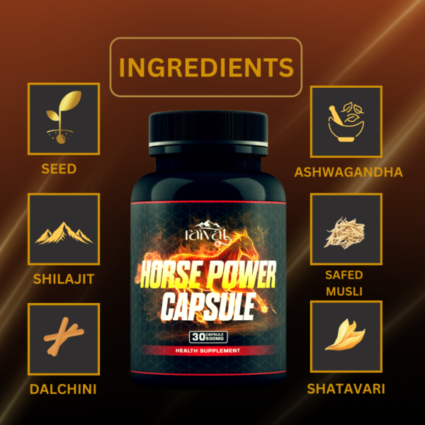 Horse Power Capsule - Image 4