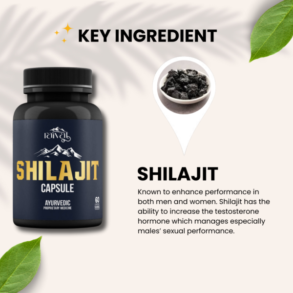 Shilajit Capsule - Image 4