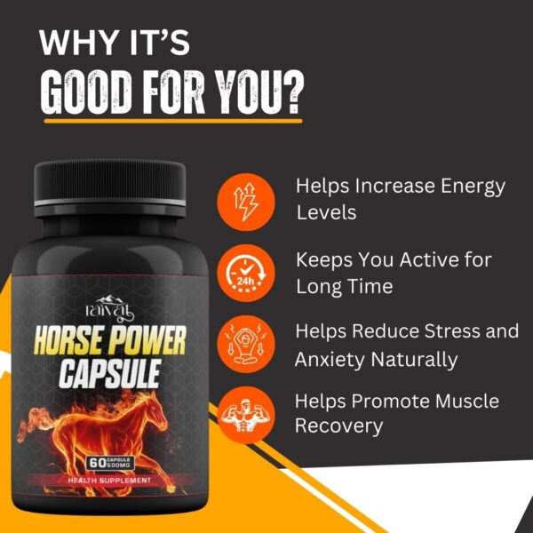 Horse Power 60 Capsule - Image 3