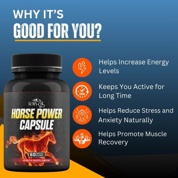 Horse Power 60 Capsule - Image 5