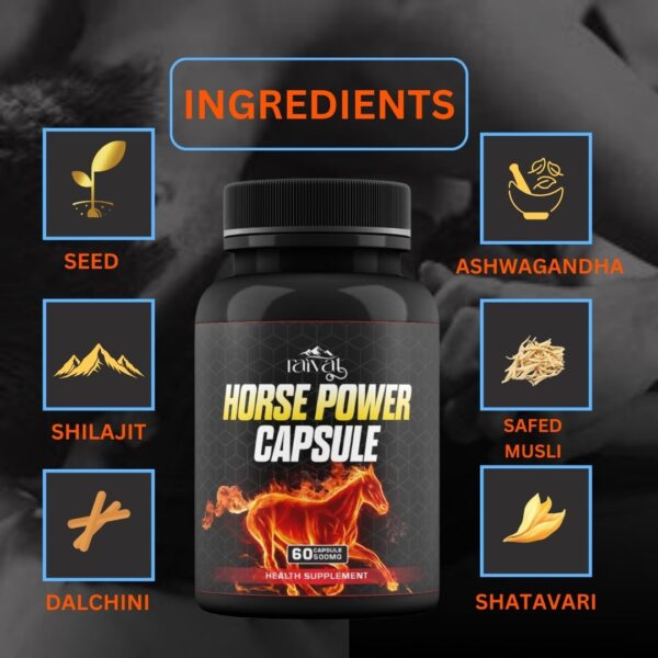 Horse Power 60 Capsule - Image 2